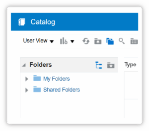 Data Model in BI Publisher Catalog