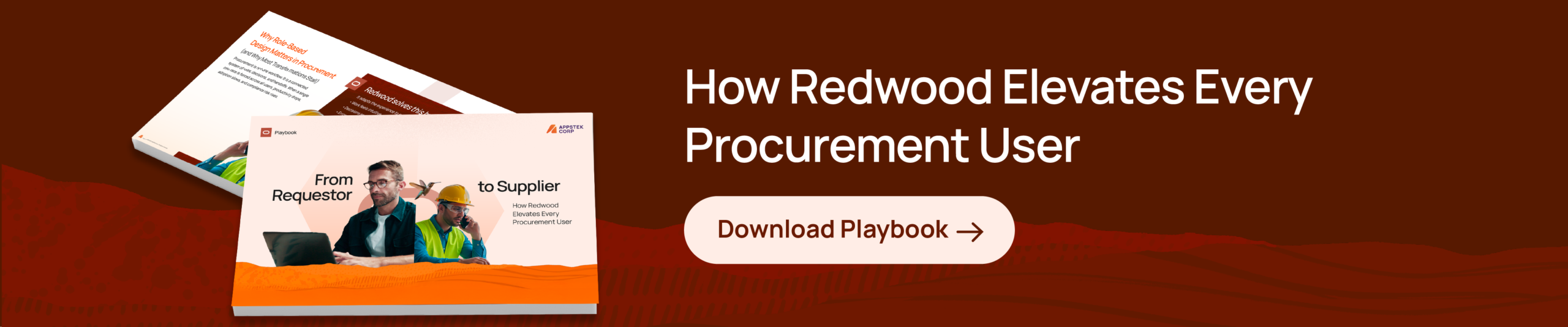 procurement-modernization-redwood-playbook