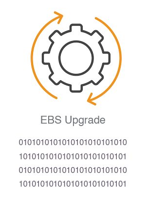 EBS Support