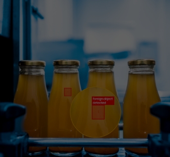 Foreign Particle Detection