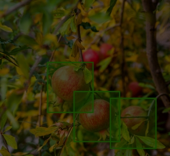 Foreign Particle Detection