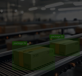 Foreign Particle Detection