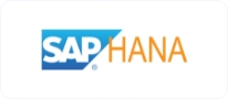 SAP Hana
