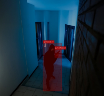 Foreign Particle Detection