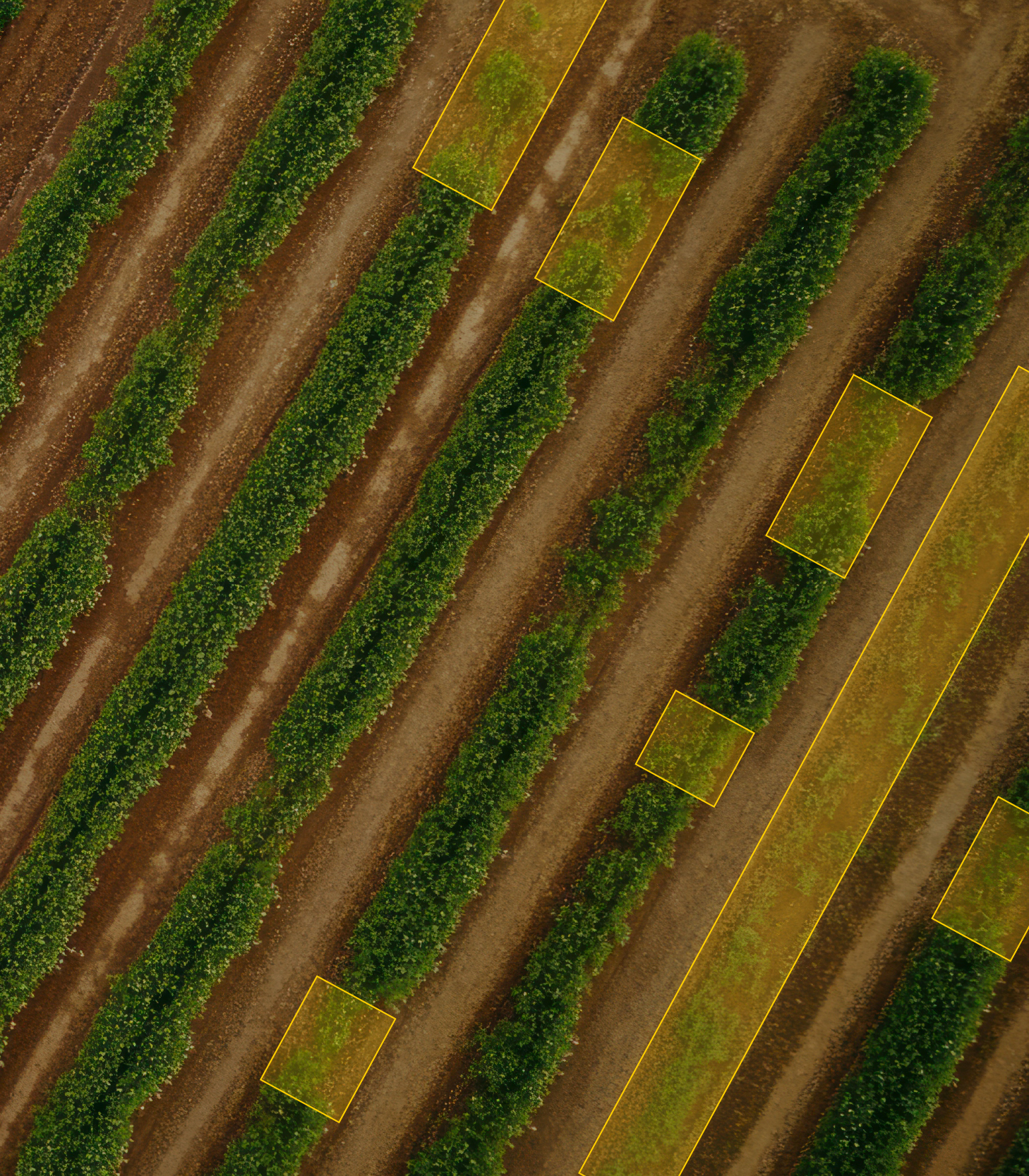 Agriculture Vision AI